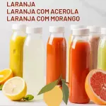 Suco natural 300ml