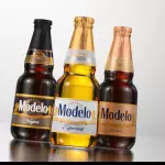 MODELO
