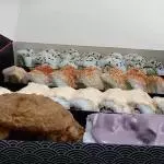 Fusiona2 Full
