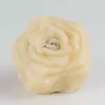 Olho de sogra