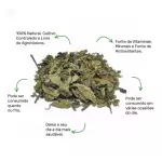Java - 20g