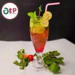Watermelon Mojito