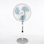 Ventilador de pedestal Daiwang