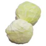 Repolho