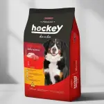 HOCKEY DIA A DIA 15KG
