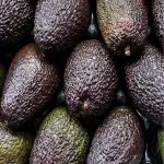 AGUACATE  HASS SUPREMO