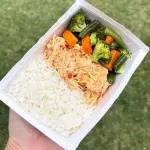 Frango desfiado