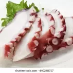 Sashimi pulpo