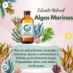 EXTRACTO HG ALGAS MARINAS