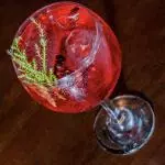 Hibiscus Tonic
