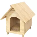 CASINHA DE MADEIRA 2