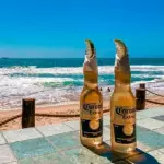 Cerveja Long Neck