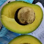 Aguacate choquette 18.000