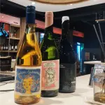 VINO Chateau Subsonico- Falasco