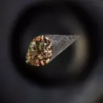 Temaki Skin