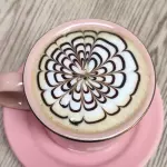 MOCACCINO
