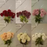 POMPONES 840-4