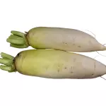 萝卜 nabo