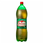 GUARANÁ ANTARTICA 2L