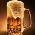 LITRO DE CERVEZA 🍺
