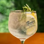 Gin Tônica