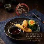KUSHIAGUE 2X1