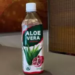 Aloe Vera Coreano