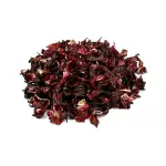 Hibisco (flor)