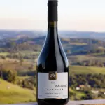 ArteViva Elementar Merlot 750ml