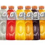 Isotônico Gatorade 500ml