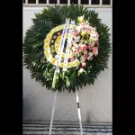 CORONA 014