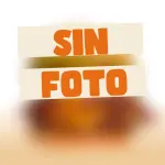Pocket  simple con papas