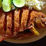 Red snapper.