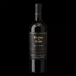 GRAN CASILLERO DEL DIABLO
