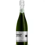Piccini Lambrusco