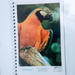 Caderno Espiral 1/4 - Cadernu's