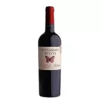 Vinho Tinto SM de Apalta - Argentino