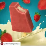 Paletas