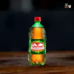 GUARANÁ ANTARCTICA 1L