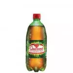 GUARANÁ ANTARTICA 1
