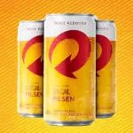 Cerveja Skol lata
