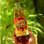 CAJUINA GOSTO DA FRUTA 480ML