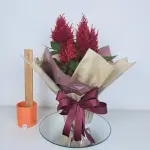 A435 Celosia "Personalidade"