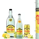 AGUA MINERAL TOPO CHICO 355