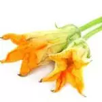 Flor de Calabaza