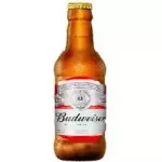 Budweiser 300ml