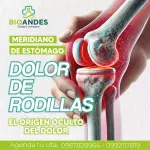 Meridiano de Estómago