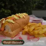 Perro 2x1