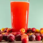 Acerola