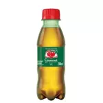 Guaraná antártica